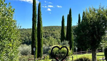 Agriturismo Belagaggio - Foto 3, Garden, Garden view