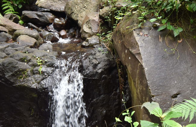 Excursión a las cataratas de Dark View - Foto 1