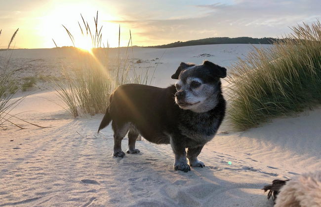 Beautiful Coastal Retreat in Punta Paloma, Tarifa - Foto 36