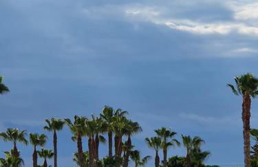 Mondrian Magic World - sea view first line of the beach - Photo 10