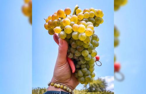 Villa Iris en Ardèche - Piscine Privée et Jardin - Foto 6