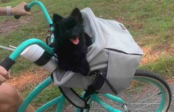 Pet Friendly Tranquil Cottage with Fire-Pit & Hot Tub Minutes to BEACHES - Foto 52