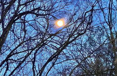 Turkey Creek Cabin Rentals #2 at Tims Ford lake - Foto 26