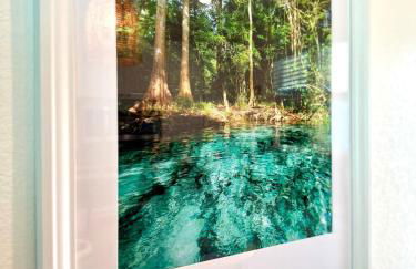 The Royal Cypress Suite Near UF Shands Downtown - Photo 63