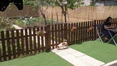 Casa Vacanza Laura - Foto 5, Garden, Garden view