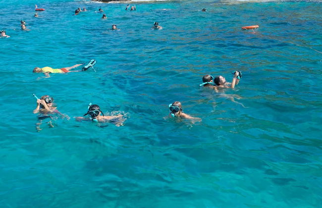Paseo en barco por la bahía de Palma - Foto 11