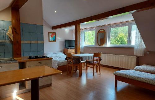 Agroturystyka Pod Klonem - Foto 58