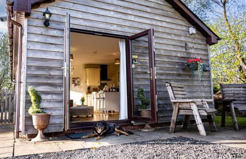 2 Bed in Llandrindod Wells oc-88203 - Foto 19