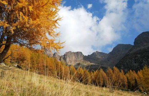 Ca' del Pettirosso - Foto 41