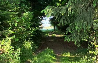 Ferienwohnung Götz - Foto 22