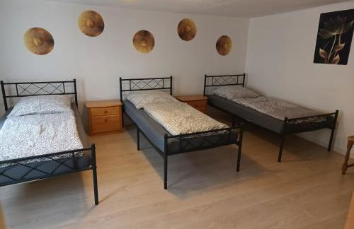 OCTOPUS-1 Monteurwohnung in Zentrum! 2-zkb in 1og - Foto 11