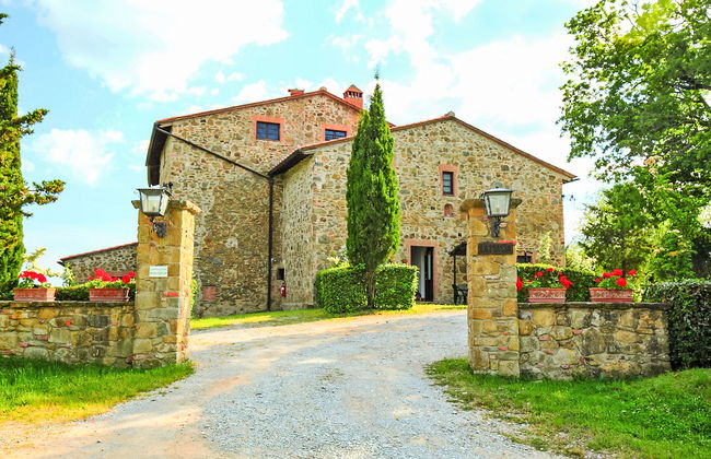 Pulcino n°3 - Foto 26