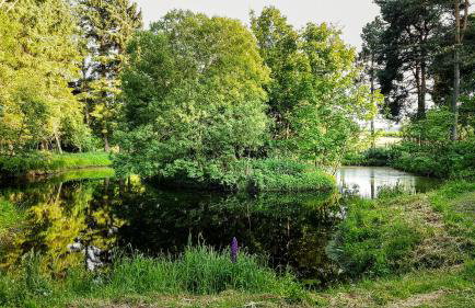 Marcassie Farm Lodges - Oak Studio - Accessible - Foto 14