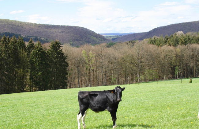 Villa in Freyneux With Garden - Foto 49