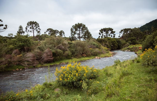 Recanto das Águas - Urubici - SC - Foto 30