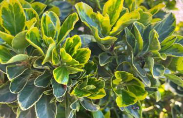 Agriturismo Valdo - Foto 45