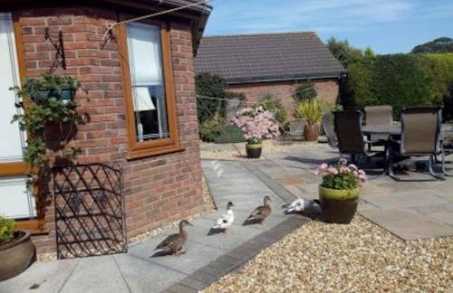 Coastal Garden Lodge - Foto 14