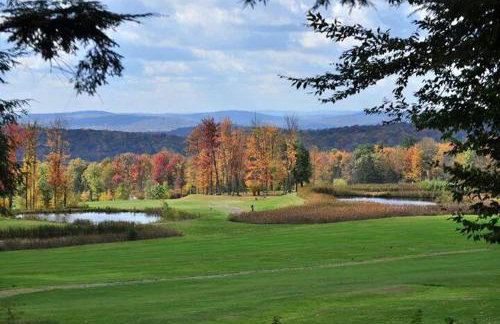 FRENCH WOODS FARMHOUSE Catskills Upper Delaware River Hancock NY - Foto 67