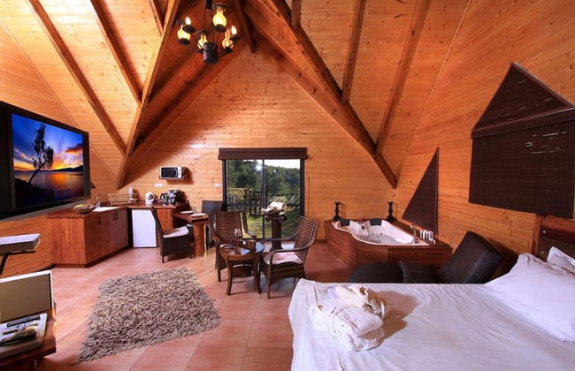 Auzat King David - Photo 7