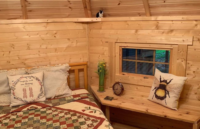 Starry Meadow - Foto 35