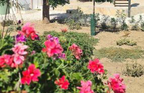 La Sureña - Photo 17