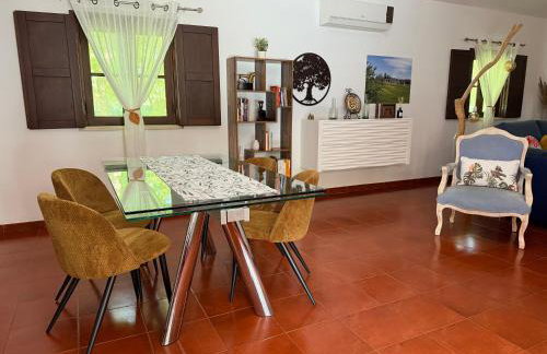 Quinta do Faisco - Foto 41