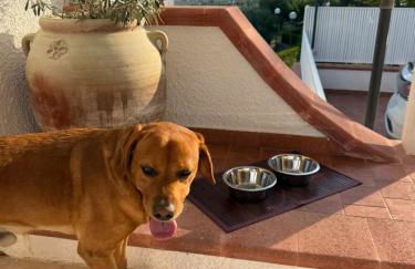 Il Villotto - Foto 60