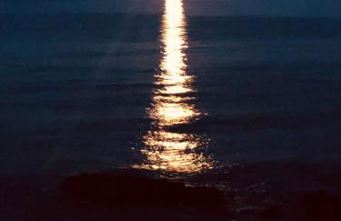 Villa Mangata - Photo 15