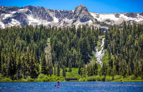 Mammoth Green 101 - Photo 37