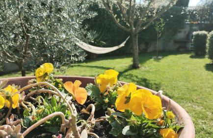 Oasi di relax tra Firenze e colline del Chianti - Foto 10