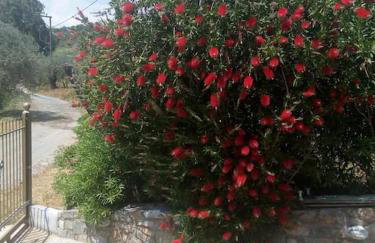 Sea view villa - Foto 30