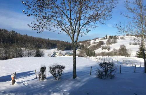 Le Bugiste Haut Valromey - Foto 8