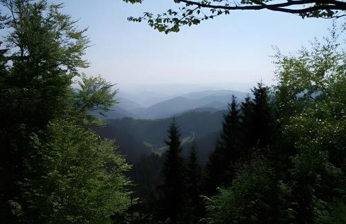 Haus Margot Armbruster - Photo 15