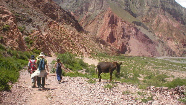 Iruya Day Trip - Foto 5