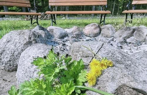 Domki w Parku na Mazurach - Foto 9