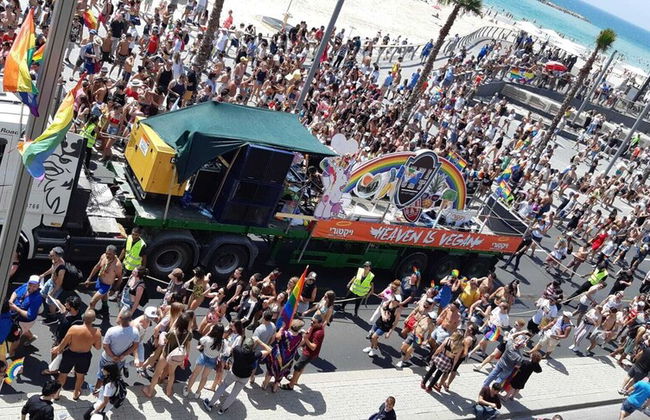 Aparthotel Banana Beach - Foto 18