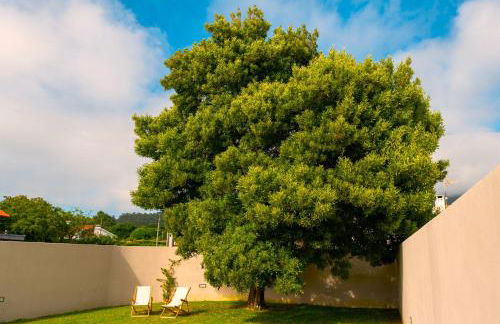 Afife Sea and Mountain Retreat - Foto 18