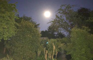 The Jockey Room Hideaway - Foto 25