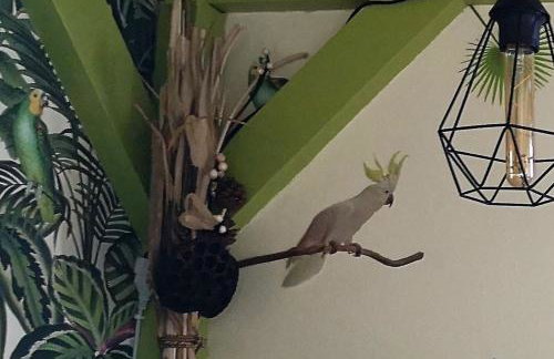 Orval et sens - Le Rayon Vert Studio - Foto 15