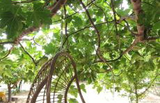 Garden house - Photo 44