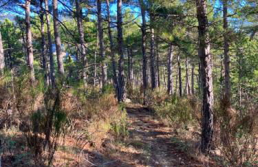 VILLA ROMAGA - Foto 75