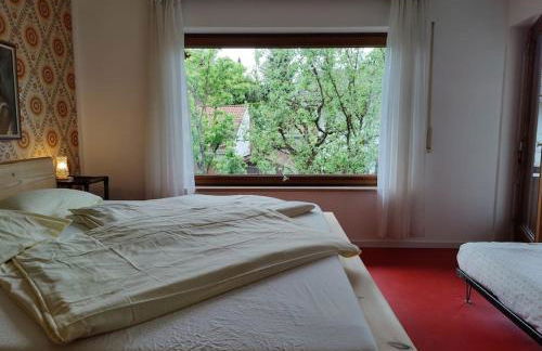 große Wohnung mit Dachterrasse - Foto 9