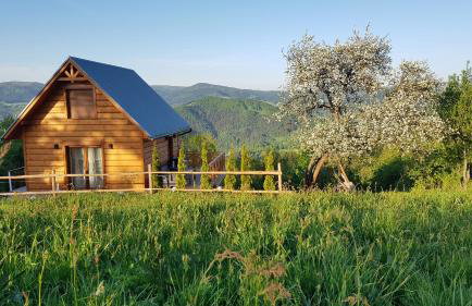 Domek Góralski Piwowarówka - Foto 54