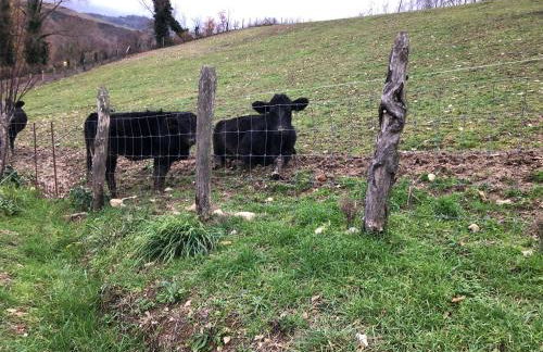 Agriturismo Ca' Belluccio - Foto 45