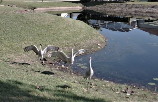 Ly217376 - Oak Island Cove - 4 Bed 3 Baths Villa - Foto 25