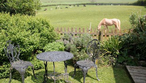 The Nest - Thatched seaside country cottage for two - Foto 3, Garden, Garden view