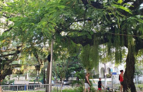 Saint Severe Jardim Apipema - Foto 41