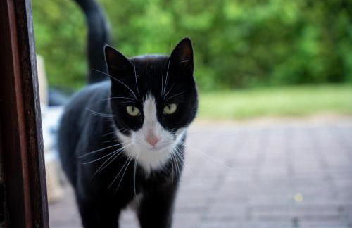 Wohnung Nr 7 - Foto 23