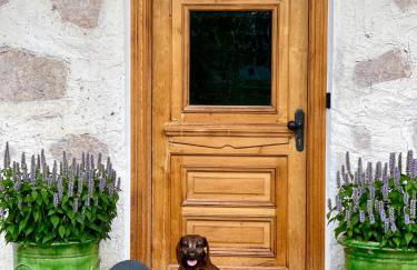 Farmhouse 1604 - Das Bauernhaus eines Fischers - Foto 17