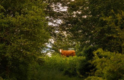 Agriturismo Carovane - Photo 15